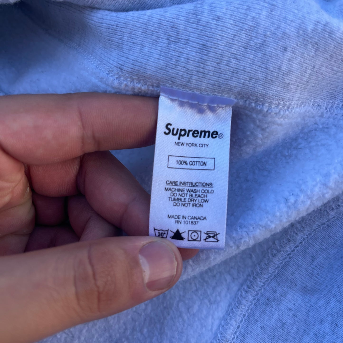 SS19 Supreme Apple Hoodie