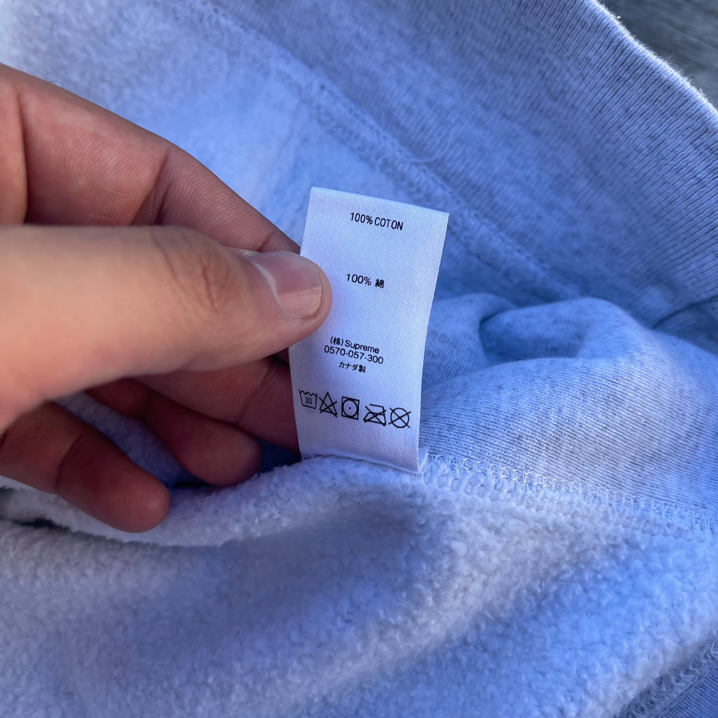 SS19 Supreme Apple Hoodie