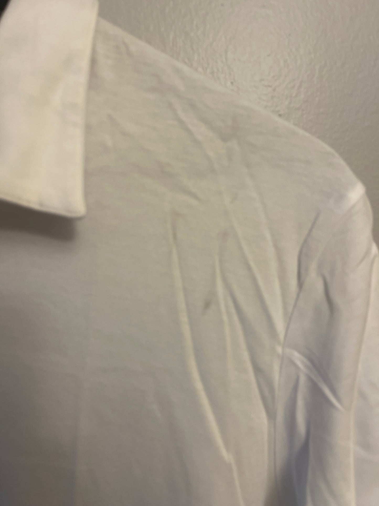 Theory Polo